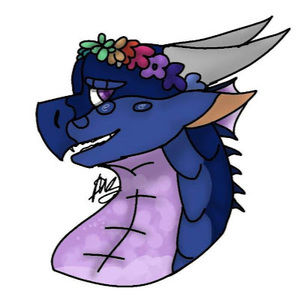 Meet your Posher, Adelaide